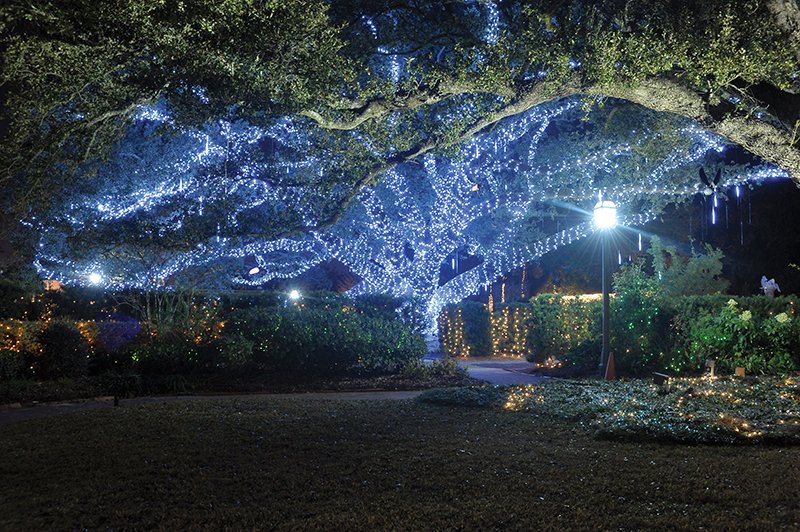 Sparkling Nights & Twinkling Lights