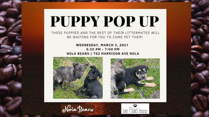 B6555b 3ba22662276b4a5cb84d2b394d5dfdacmv2