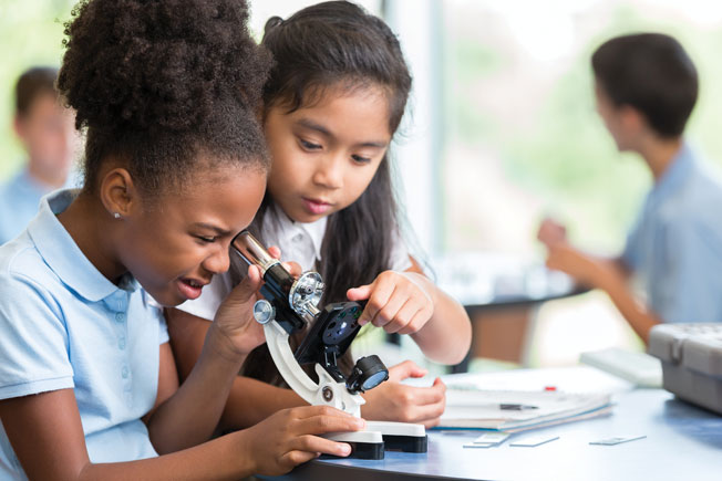 Elevating Education For All Ages - Vimarsana News