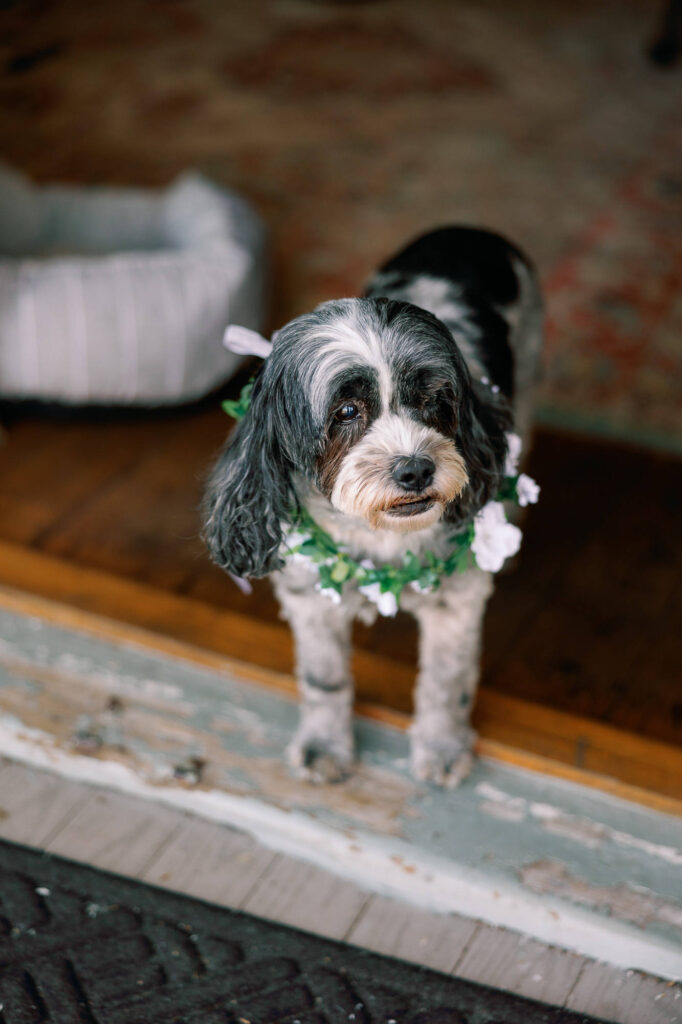 Real Wedding: Spangenberg-Schoendorfer