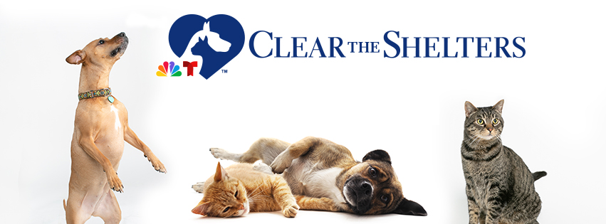 Clear the Shelters