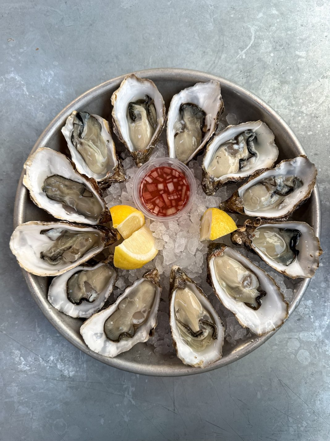 Dozen of oysters Oysters