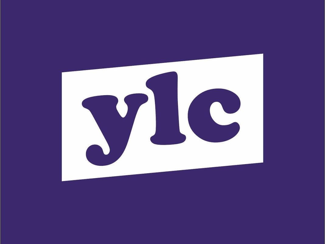 young leadership council