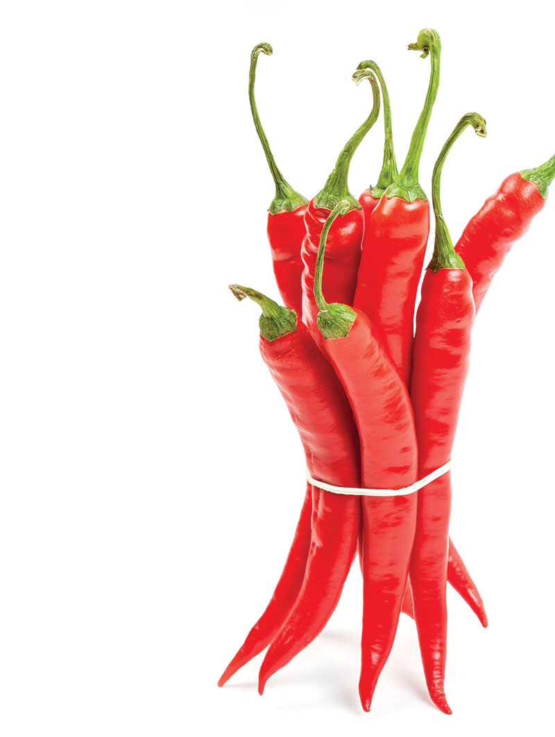 How to Grow Tabasco Chilies