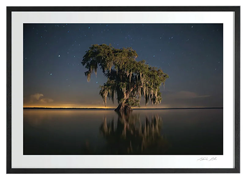 Seeing Sparks with Interior Designer Hattie Sparks Collins