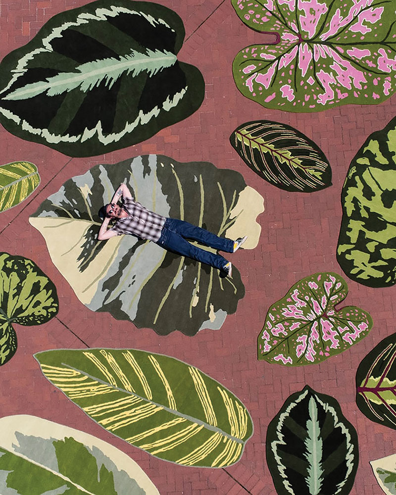 Louisiana We Might Be on Fire’s Big Leaf collection by Shaun Watson
