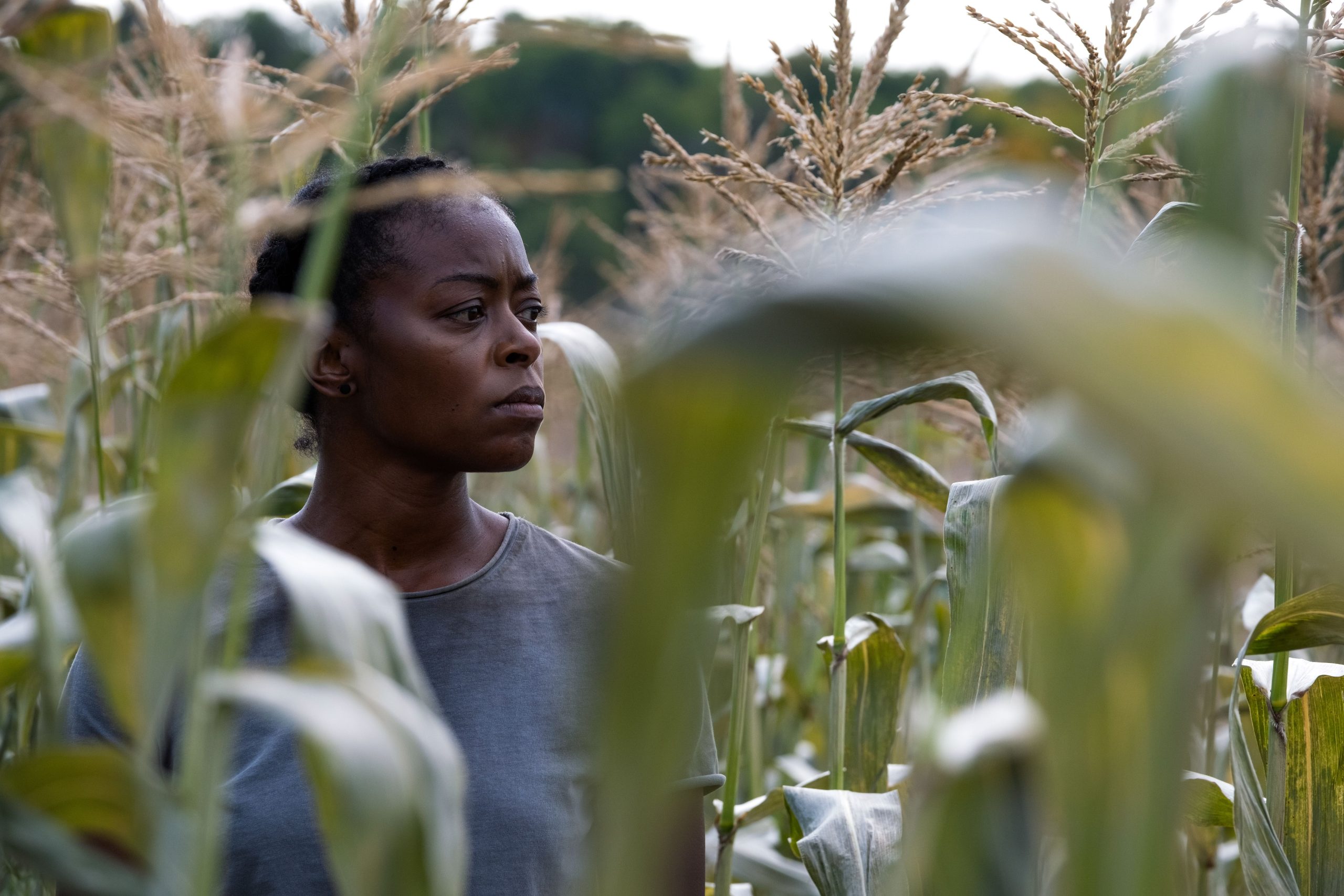 Movies You Need To See: 40 Acres Movies You Need To See: 40 Acres