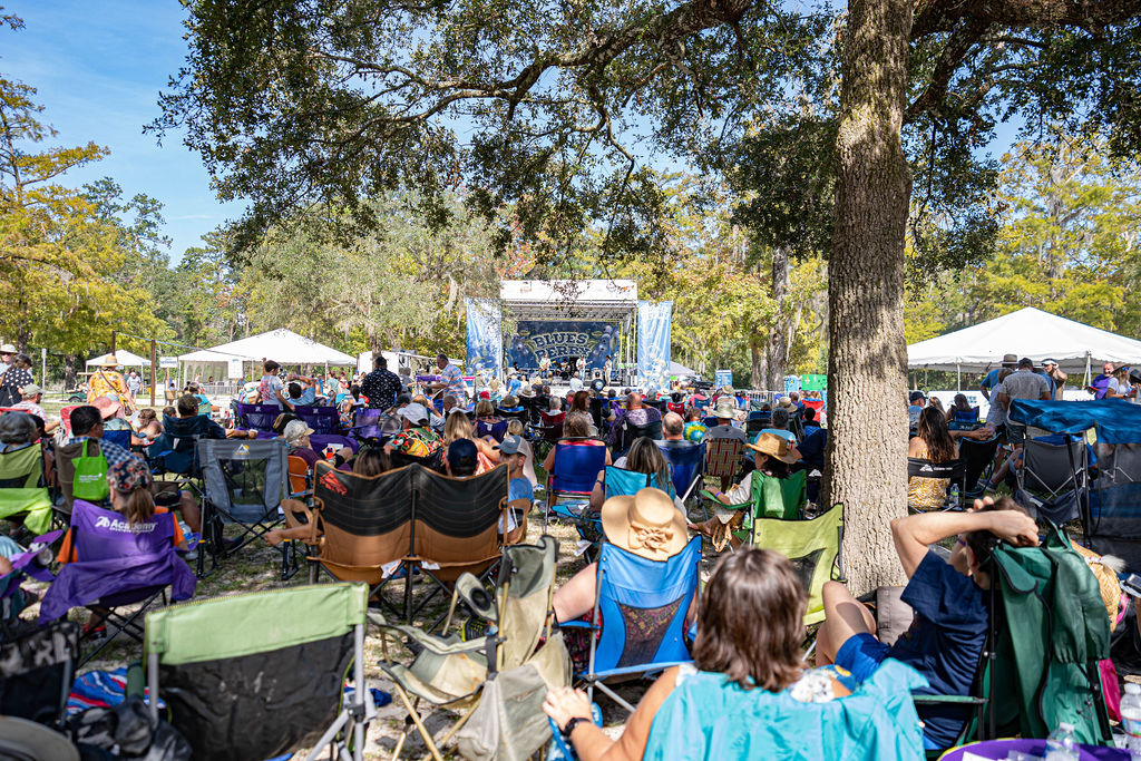 Bluesberry Music + Art Festival
