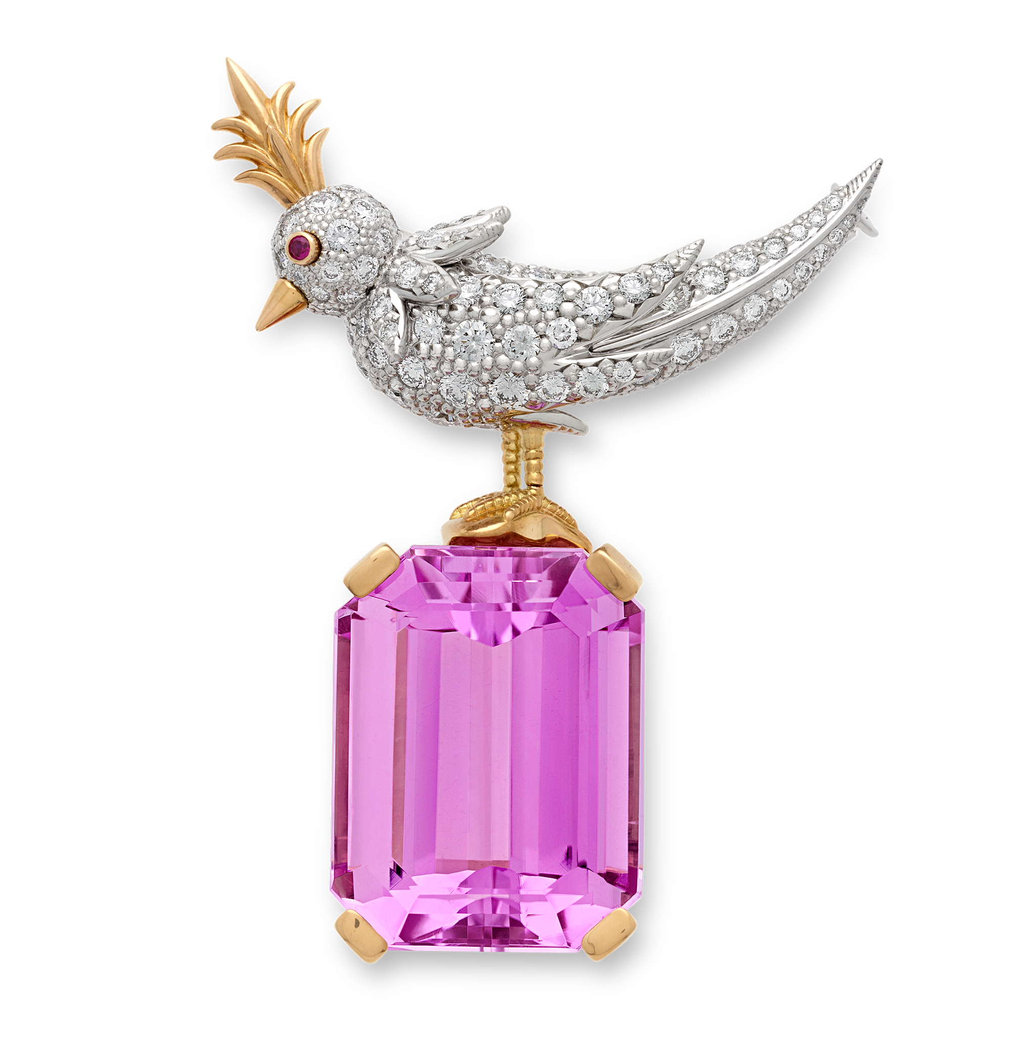 Bird-on-a-rock.png