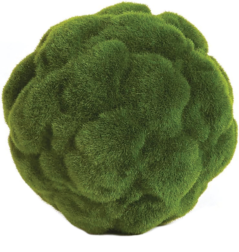 Home Accessories to Increase Your Health