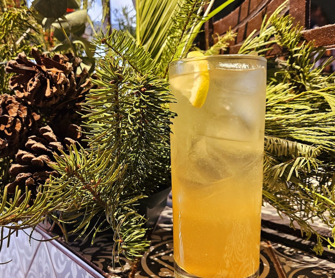 Costera Shares Merry & Light Cocktail Recipe