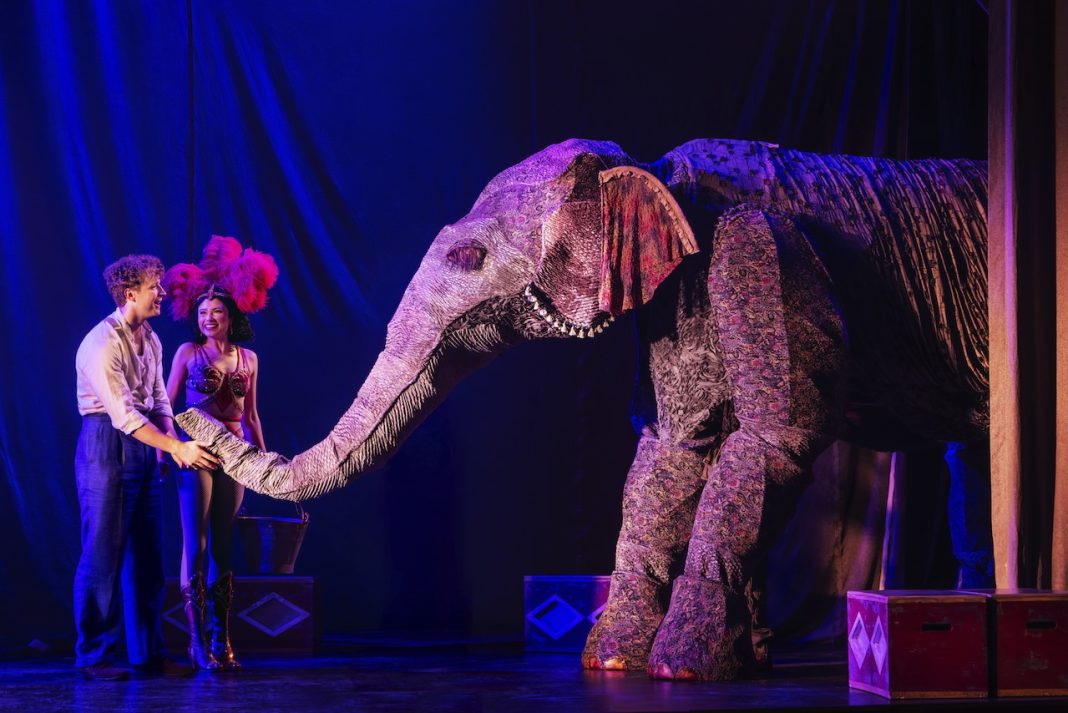 Broadway Water For Elephants