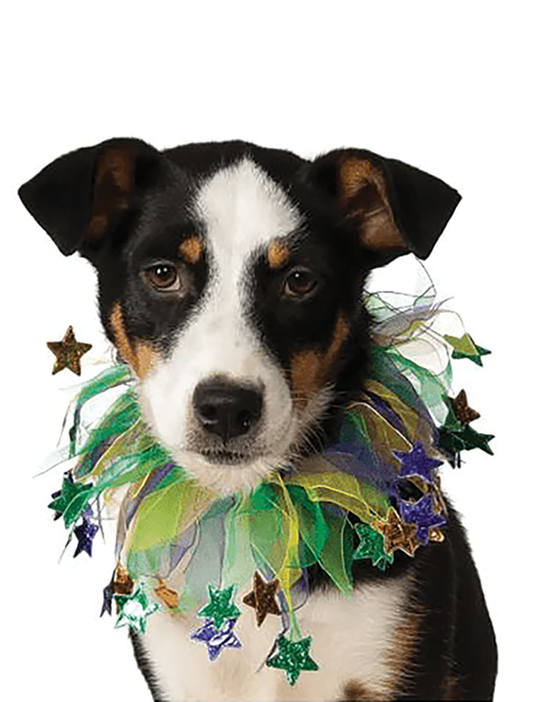 Carnival Accessories that Will Make you Stand out in the Parade Crowd