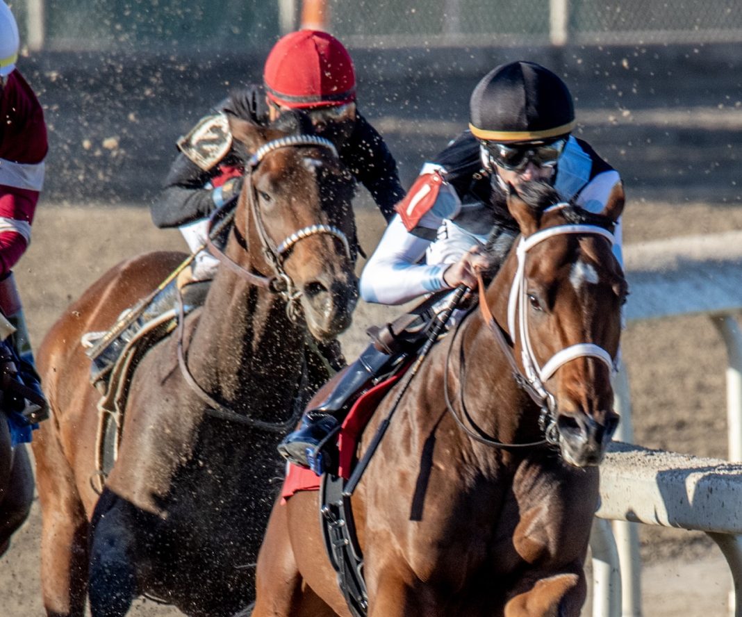 fair grounds
