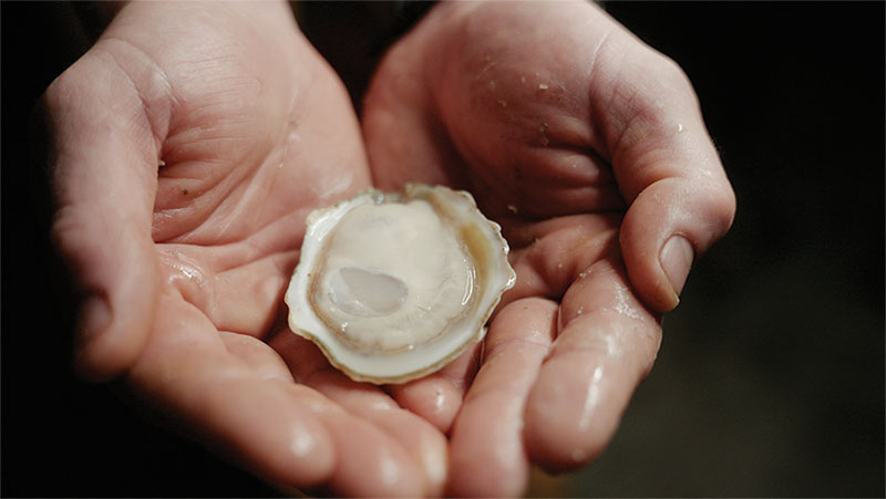 The Dish: Succotash, Barrio Bites, Dahla and More The Dish: Succotash, Barrio Bites, Dahla and More