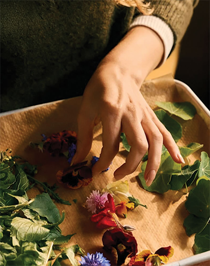 The Dish: Succotash, Barrio Bites, Dahla and More The Dish: Succotash, Barrio Bites, Dahla and More