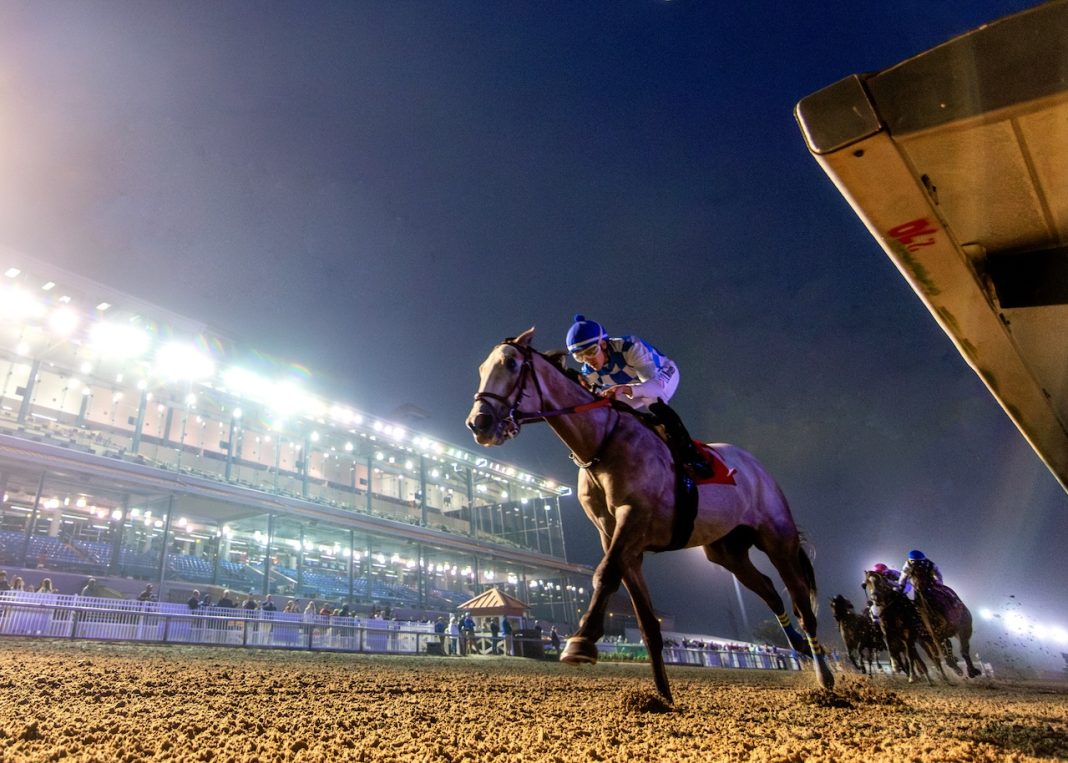 Fair Grounds