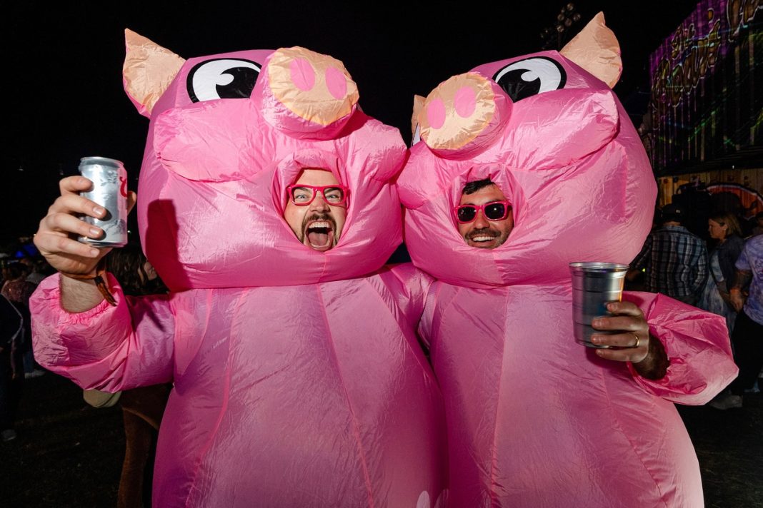 Hogs for the Cause