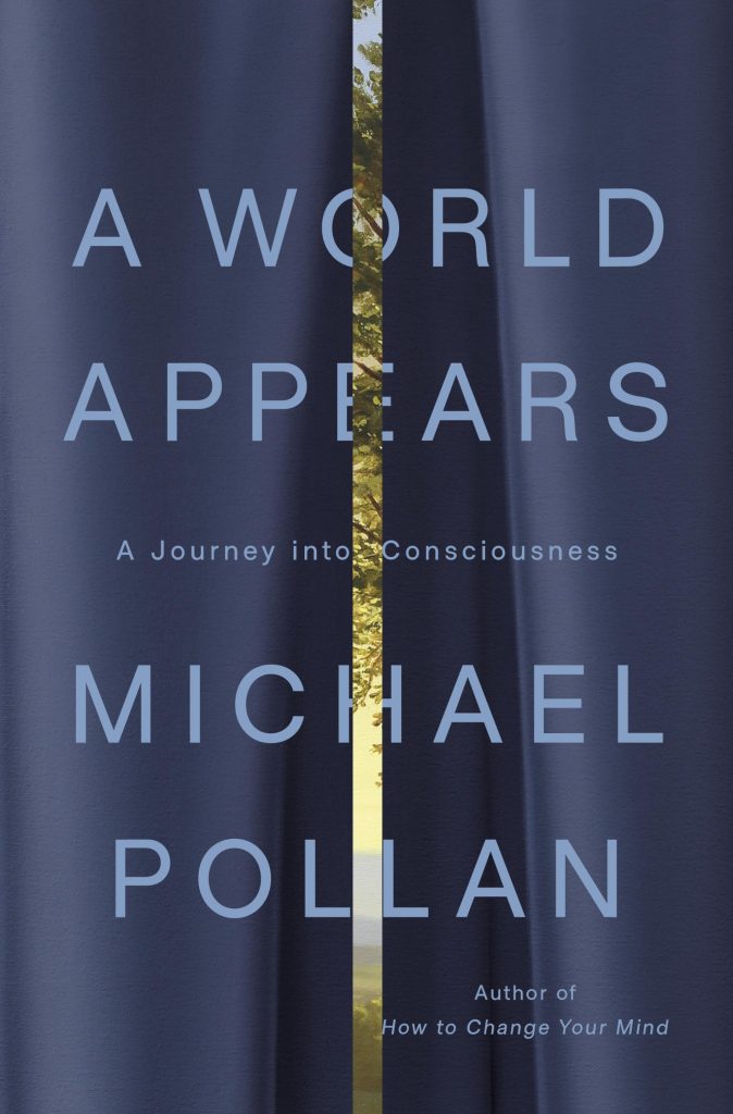 What to Read: Books We're Reading Right Now