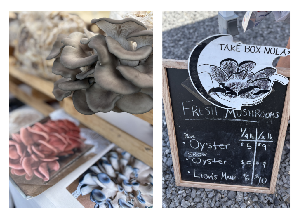 New Adventures in a New Orleans Farmers Market