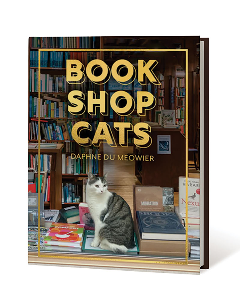Book Club's Summer Review