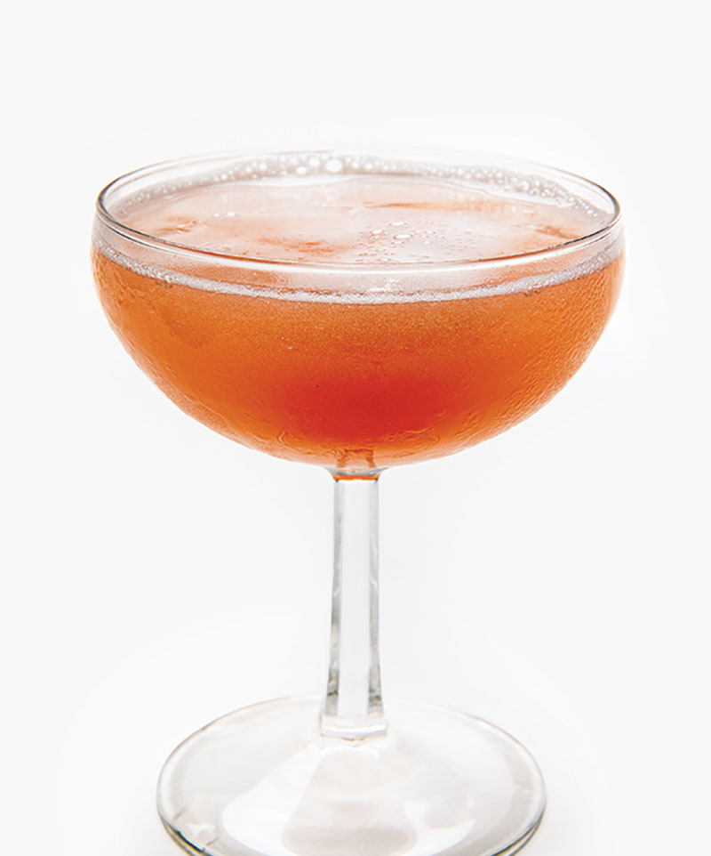 Cocktail Recipes for Every Type of Summer Gathering
