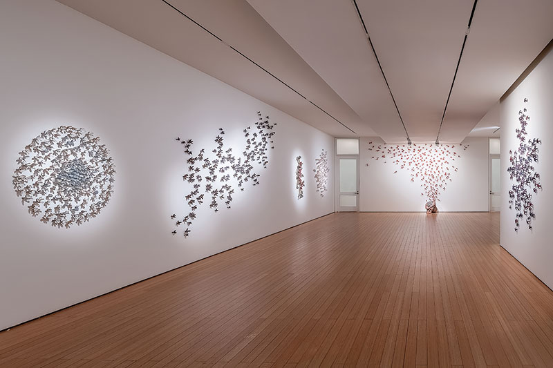 Gallery Insider
