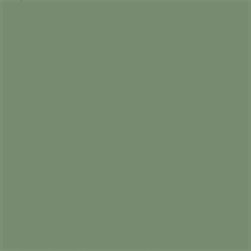 Matcha Green Matcha Green