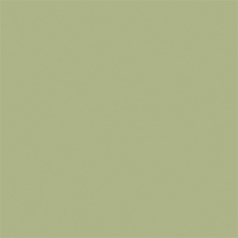 Matcha Green Matcha Green