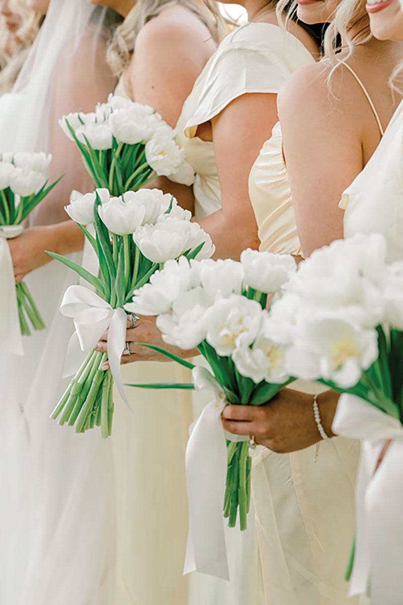 New Orleans Weddings New Orleans Weddings