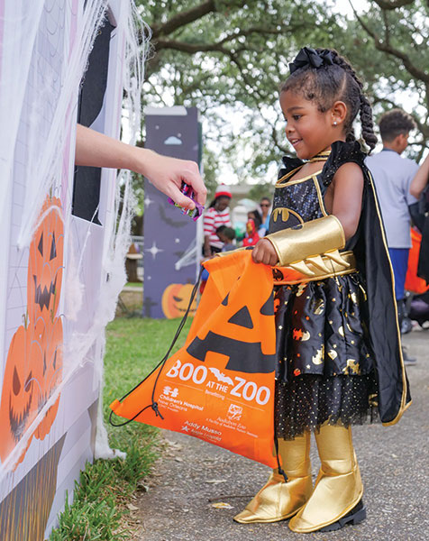 Guide to the Best 2026 Fall Festivals in New Orleans