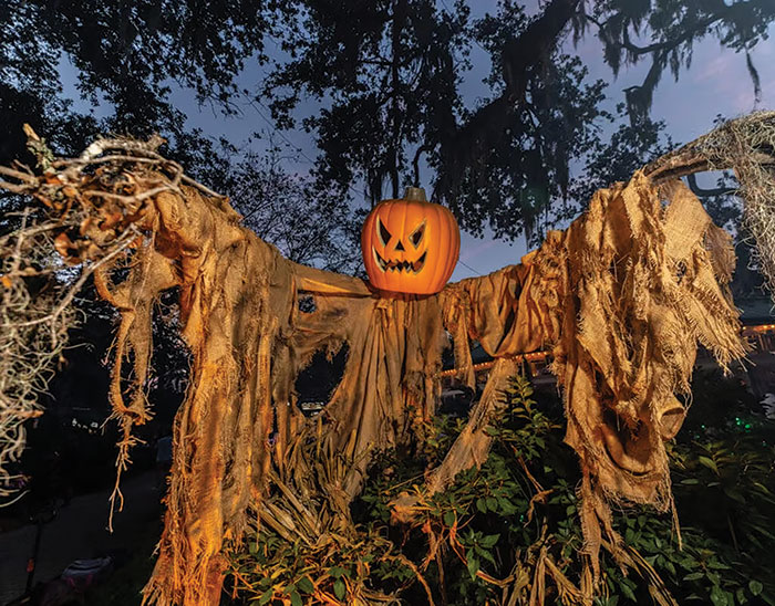 Tricks and Treats for a Memorable New Orleans Halloween Tricks and Treats for a Memorable New Orleans Halloween