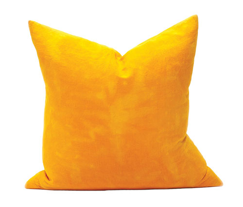 Marigold Marigold