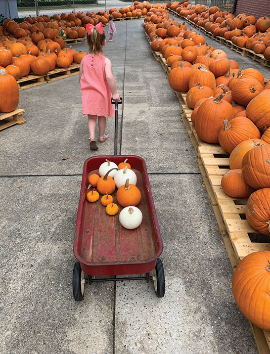 Tricks and Treats for a Memorable New Orleans Halloween Tricks and Treats for a Memorable New Orleans Halloween