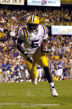 Wins, not Winds: A Guide to Louisiana Football