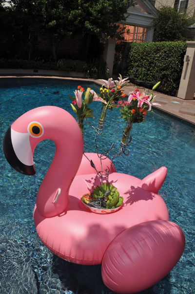 Pool Party