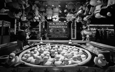 A Guide to Festivals