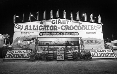 A Guide to Festivals