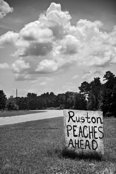 A Guide to Festivals