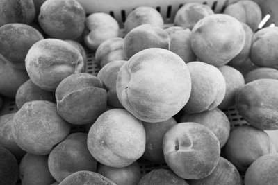 A Guide to Festivals