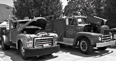 A Guide to Festivals