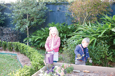 Growing a Green Thumb