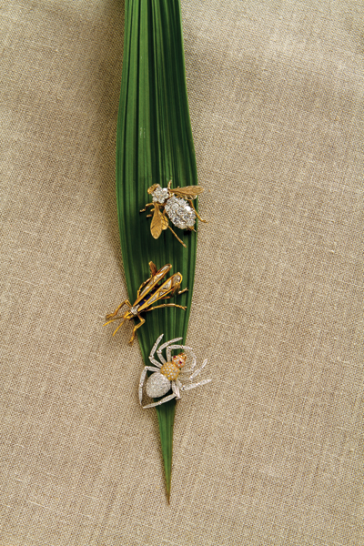 Jewelry as a Force of Nature Jewelry as a Force of Nature