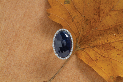 Jewelry as a Force of Nature Jewelry as a Force of Nature