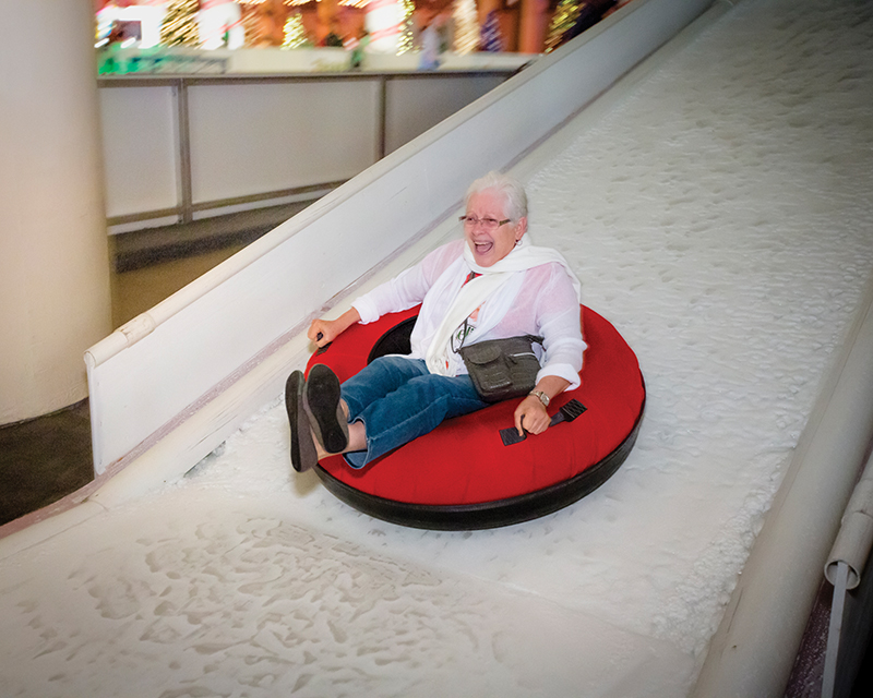 Sparkling Nights & Twinkling Lights Sparkling Nights & Twinkling Lights