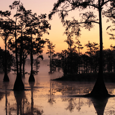 Upstate Louisiana Wonders