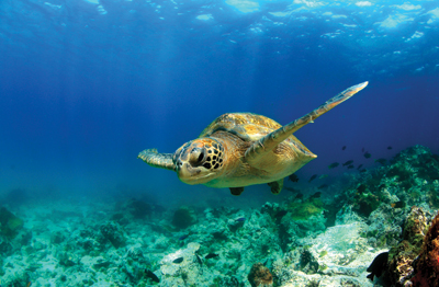 Under-The-Radar Honeymoon Spots