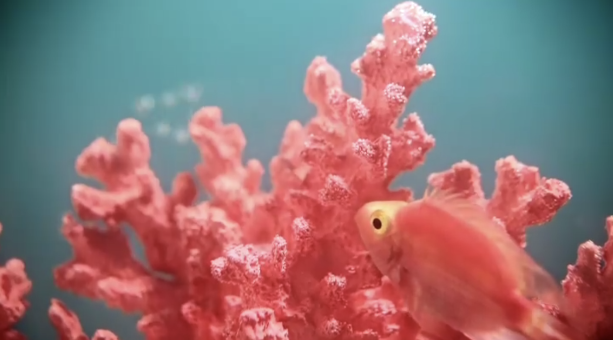 Diving into Positivity