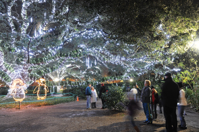24 Things To Do in New Orleans This November 24 Things To Do in New Orleans This November