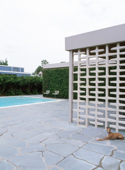 Mid-Century Perfect